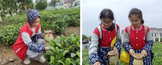 1621044625107915.png 1621044625107915.png