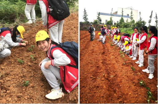 1621044963100147.png 1621044963100147.png