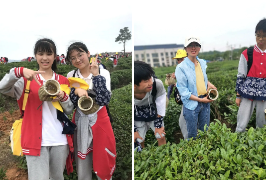 1621045127109786.png 1621045127109786.png