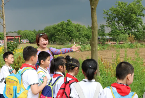 1621245539387501.png 1621245539387501.png