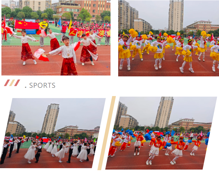 1742009556624434.png image.png