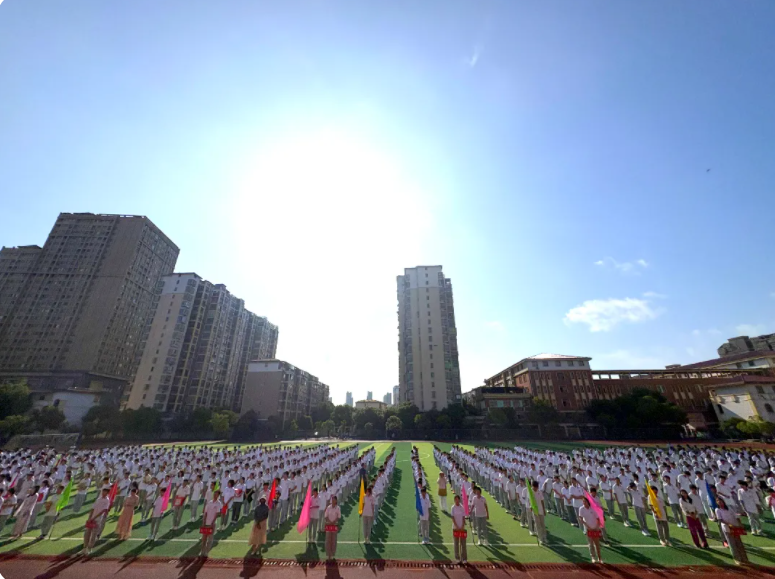 1750125780395117.png image.png