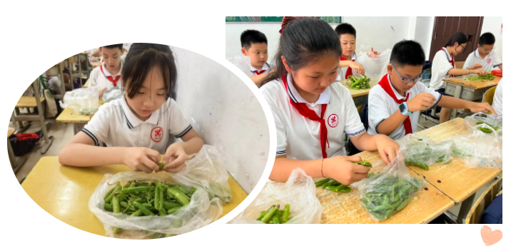 1750842499137908.png image.png